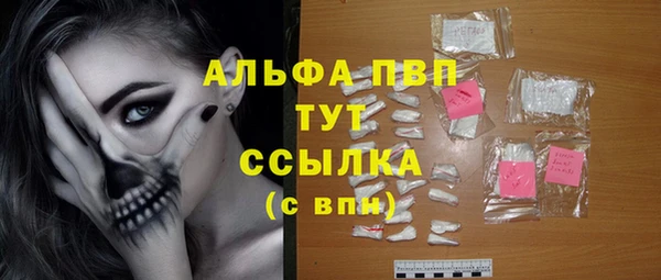 шишки Арсеньев