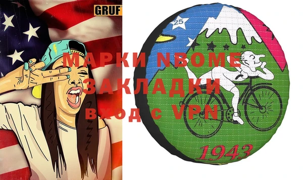 шишки Арсеньев