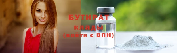 шишки Арсеньев