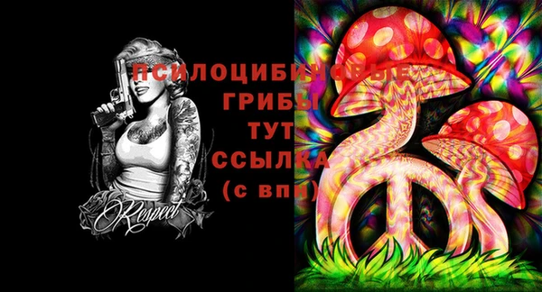 шишки Арсеньев