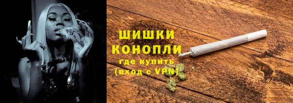 шишки Арсеньев