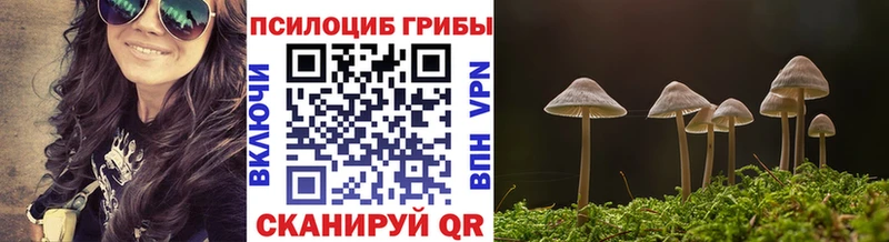 гидра вход Болотное Галлюциногенные грибы прущие грибы купить наркотики цена